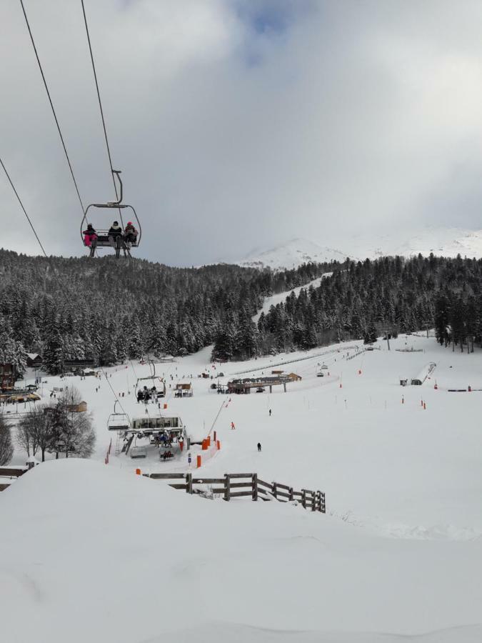 蒂耶扎克Maison Cosy Proche De La Station De Ski Du Lioran 4 Personnes别墅 外观 照片